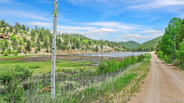 188 Brown St, Bailey, CO 80421 - photo 5