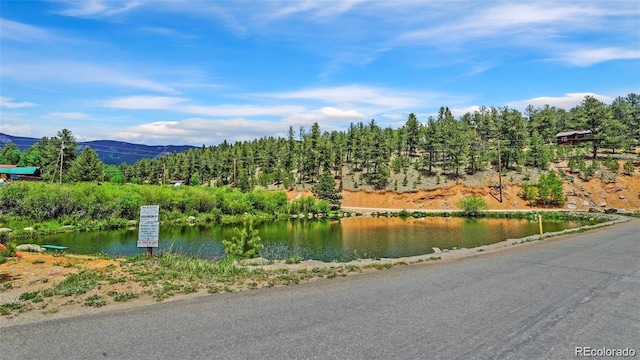 188 Brown St, Bailey, CO 80421 - photo 8