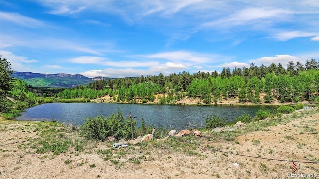 188 Brown St, Bailey, CO 80421 - photo 9