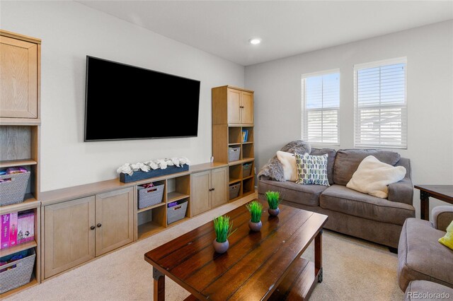 74 Lullaby Ln, Castle Rock, CO 80109 - photo 18