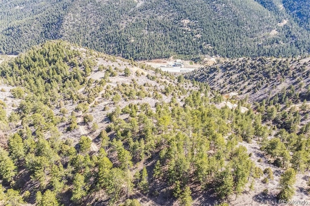 Wild Wagoner Trl, Dumont, CO 80452