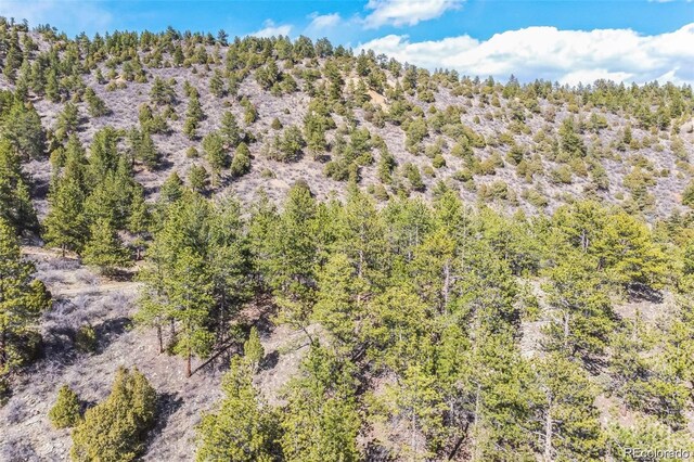 Wild Wagoner Trl, Dumont, CO 80452