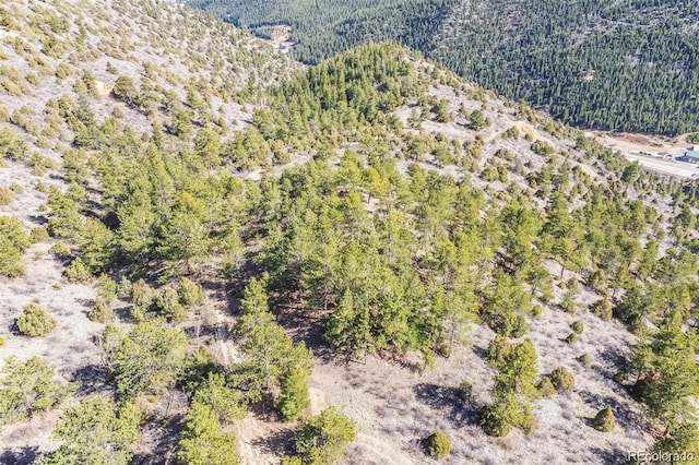Wild Wagoner Trl, Dumont, CO 80452