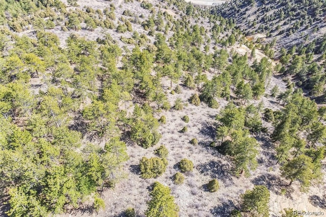 Wild Wagoner Trl, Dumont, CO 80452