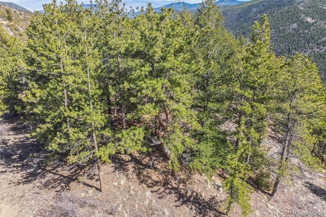 Wild Wagoner Trl, Dumont, CO 80452