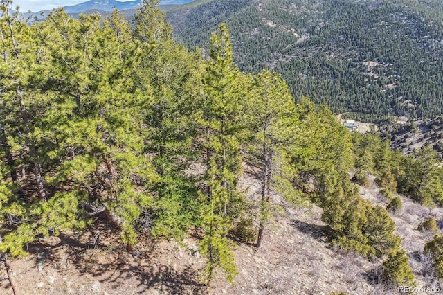 Wild Wagoner Trl, Dumont, CO 80452