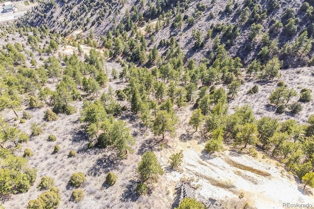Wild Wagoner Trl, Dumont, CO 80452