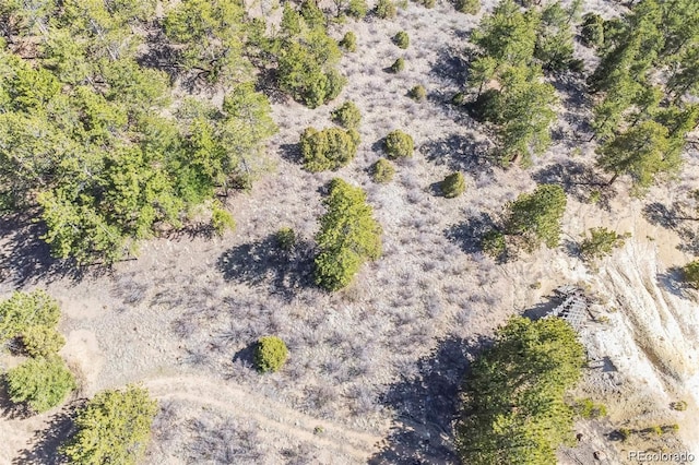 Wild Wagoner Trl, Dumont, CO 80452