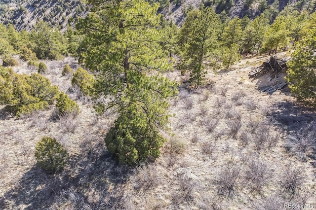 Wild Wagoner Trl, Dumont, CO 80452