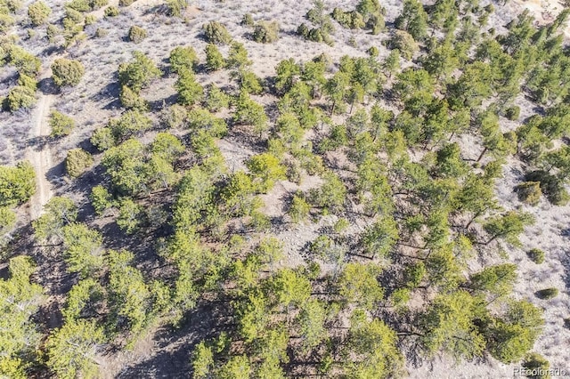 Wild Wagoner Trl, Dumont, CO 80452