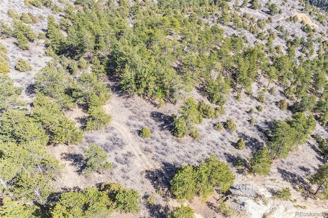 Wild Wagoner Trl, Dumont, CO 80452