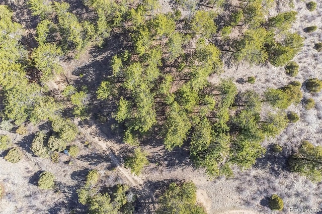 Wild Wagoner Trl, Dumont, CO 80452