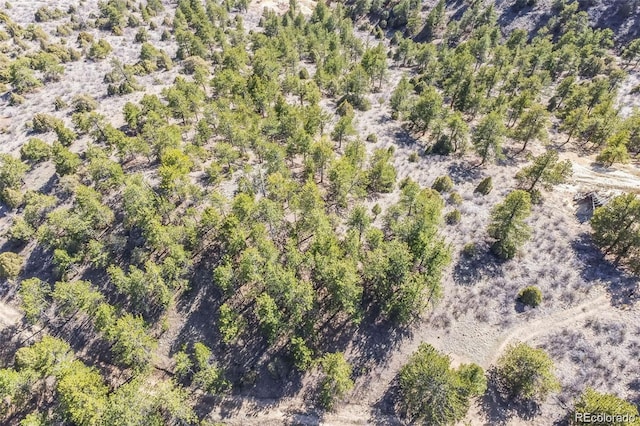 Wild Wagoner Trl, Dumont, CO 80452