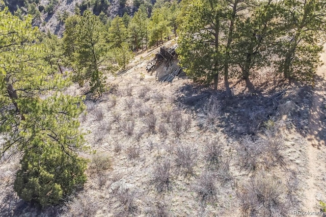 Wild Wagoner Trl, Dumont, CO 80452