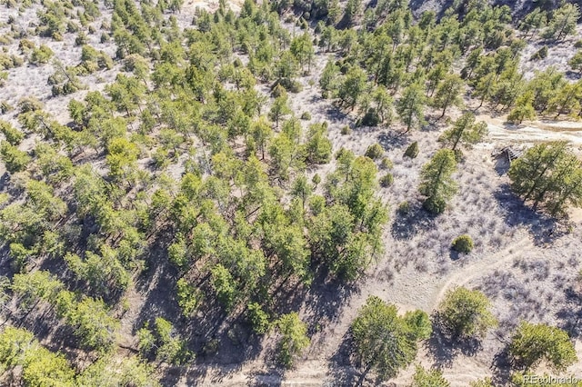 Wild Wagoner Trl, Dumont, CO 80452