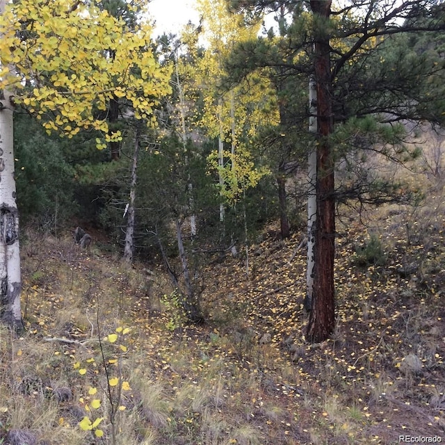 Wild Wagoner Trl, Dumont, CO 80452
