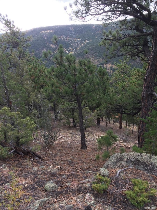 Wild Wagoner Trl, Dumont, CO 80452