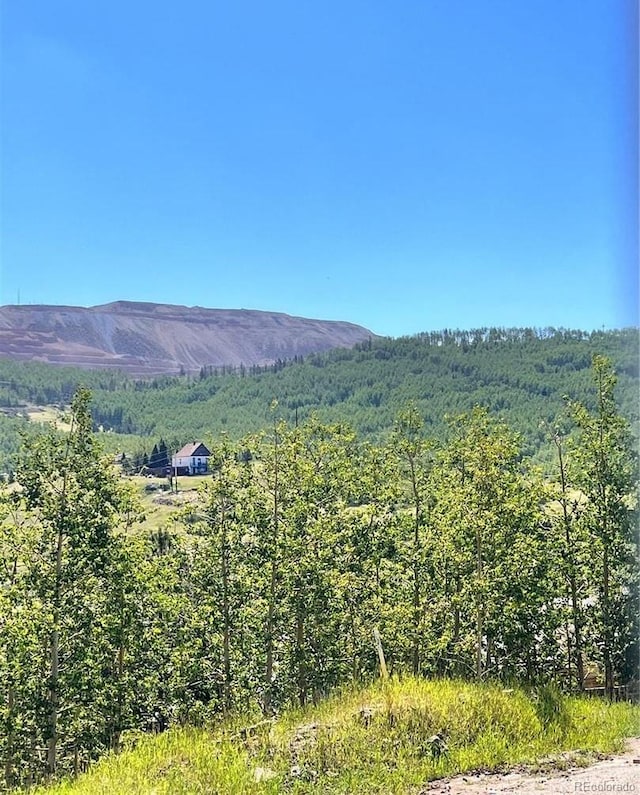 417 E Eaton Ave, Cripple Creek, CO 80813 - view of mountain backdrop featuring a heavily wooded area