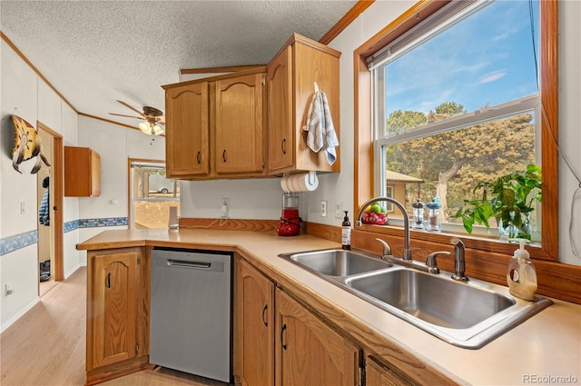 kitchen with a wealth of natural light, a sink, ornamental molding, and stainless steel dishwasher