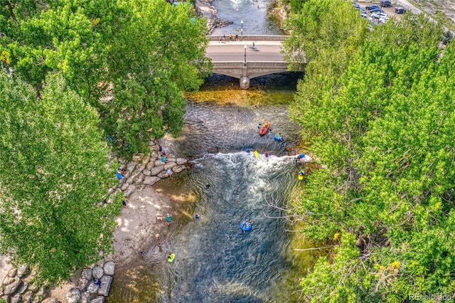 110 N D St, Salida, CO 81201 - photo 15