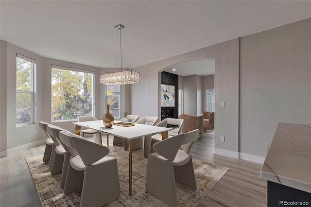 dining room featuring light hardwood / wood-style floors and a fireplace