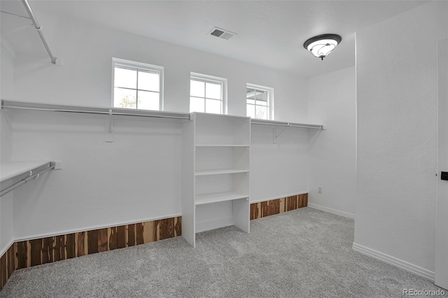 spacious closet with light colored carpet