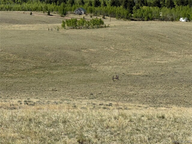 96 Angus Cir, Hartsel, CO 80449 - photo 3