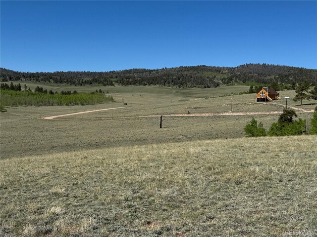 96 Angus Cir, Hartsel, CO 80449 - photo 4