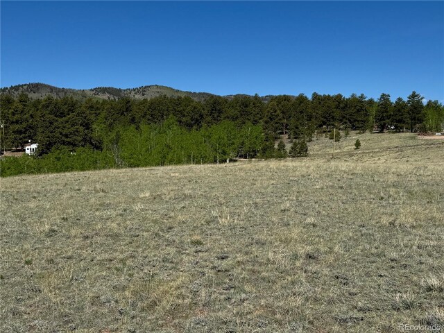 96 Angus Cir, Hartsel, CO 80449 - photo 5