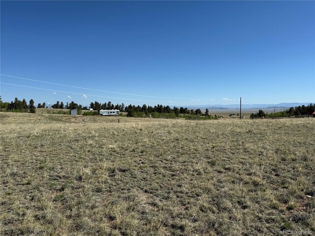 96 Angus Cir, Hartsel, CO 80449 - photo 6