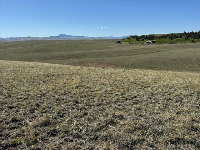 96 Angus Cir, Hartsel, CO 80449 - photo 7