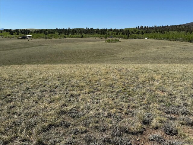 96 Angus Cir, Hartsel, CO 80449 - photo 8
