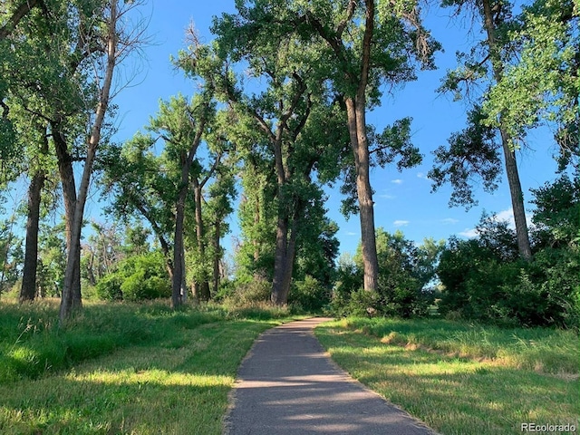 6243 S Elati St, Littleton, CO 80120 - view of road