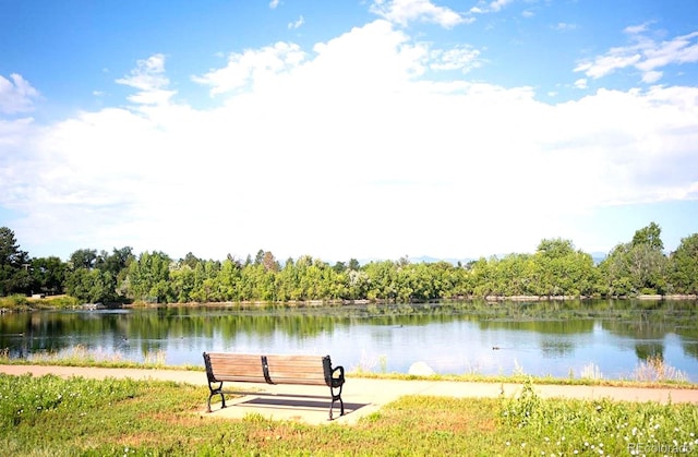 6243 S Elati St, Littleton, CO 80120 - water view