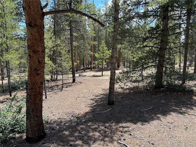 872 Birch Dr, Twin Lakes, CO 81251