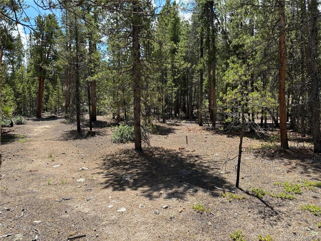 872 Birch Dr, Twin Lakes, CO 81251