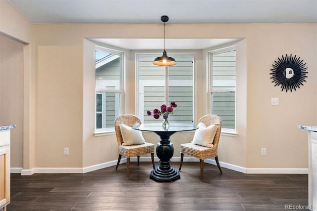 dining room featuring dark hardwood / wood-style flooring