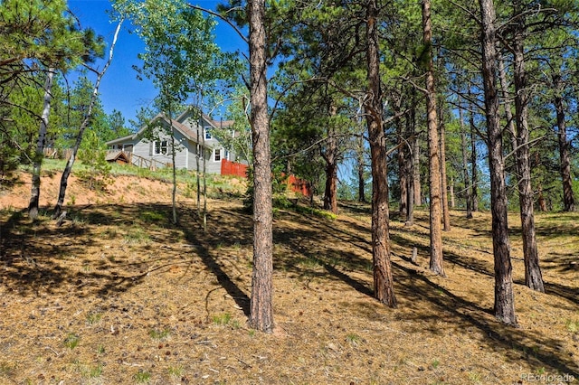 34 Piute Cir, Florissant, CO 80816 - photo 4