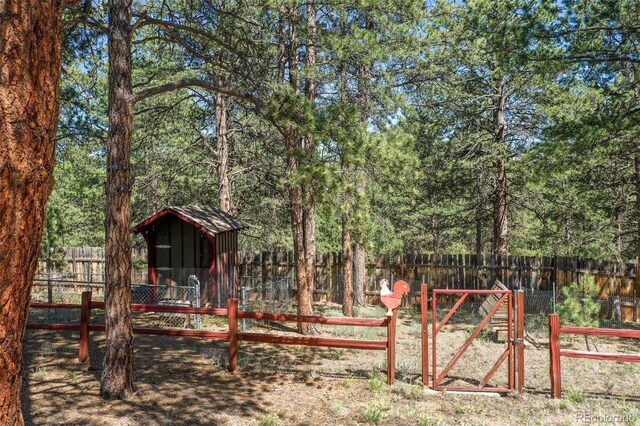 34 Piute Cir, Florissant, CO 80816 - photo 7