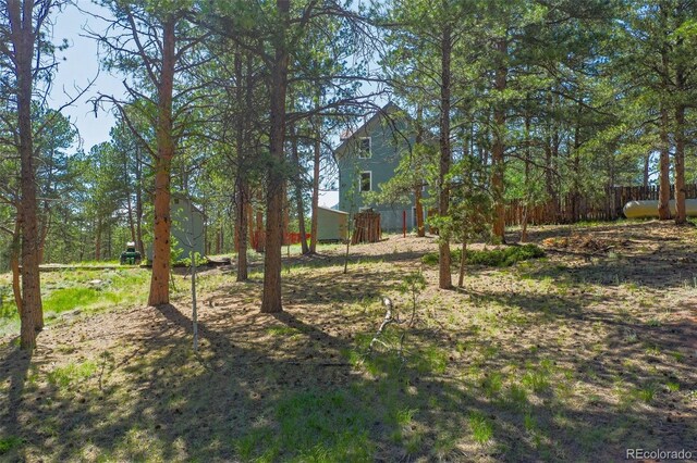 34 Piute Cir, Florissant, CO 80816 - photo 8