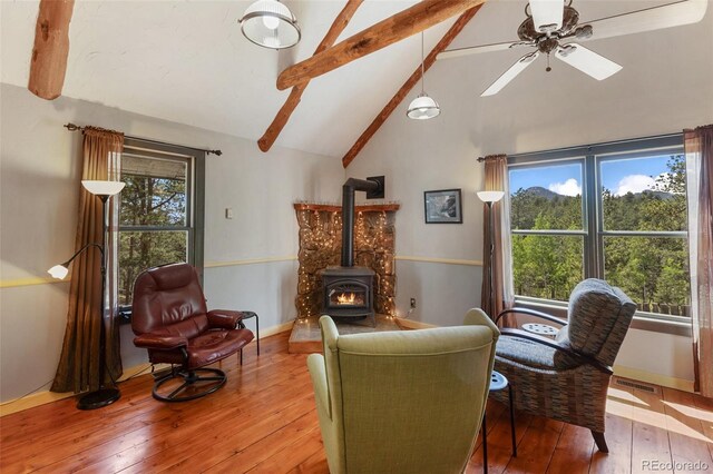 34 Piute Cir, Florissant, CO 80816 - photo 11