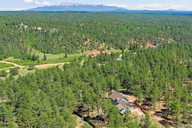 34 Piute Cir, Florissant, CO 80816 - photo 46