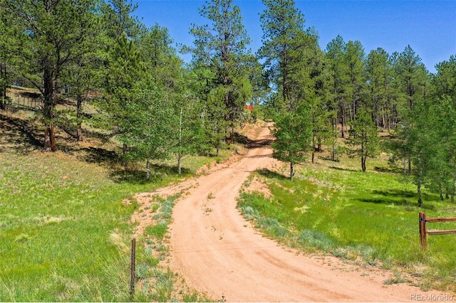 34 Piute Cir, Florissant, CO 80816 - photo 47