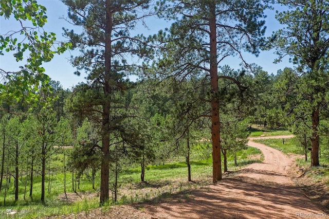 34 Piute Cir, Florissant, CO 80816 - photo 48
