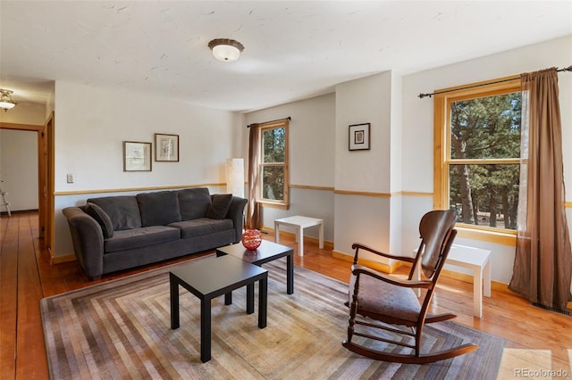 34 Piute Cir, Florissant, CO 80816 - photo 16