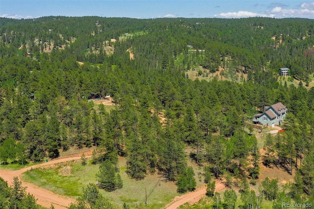34 Piute Cir, Florissant, CO 80816 - photo 44
