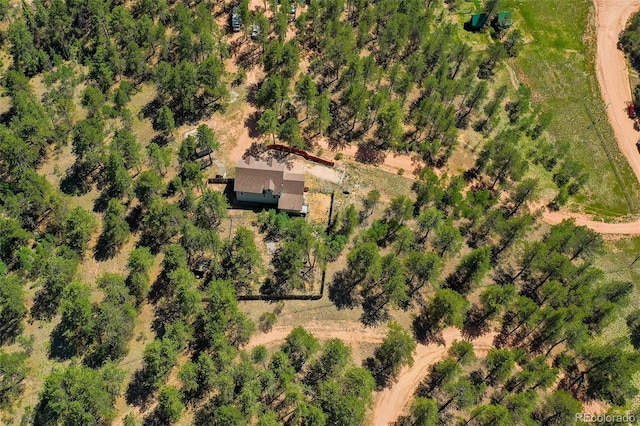 34 Piute Cir, Florissant, CO 80816 - photo 45