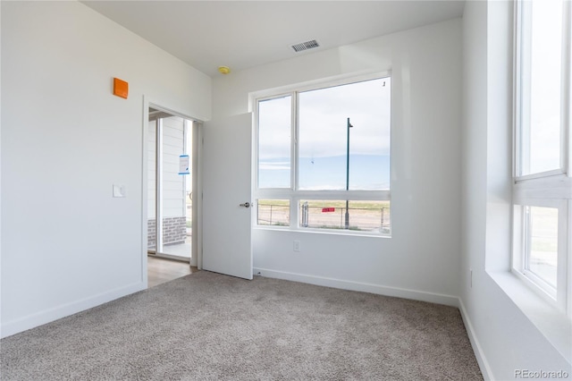 spare room featuring light carpet and a healthy amount of sunlight