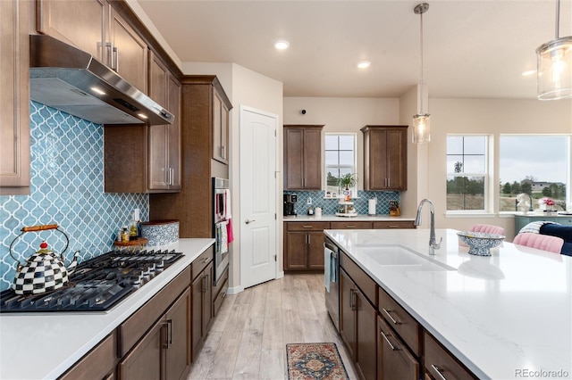 6657 S Kline Way, Littleton, CO 80127 - kitchen featuring a sink, under cabinet range hood, appliances with stainless steel finishes, backsplash, and light wood-style floors