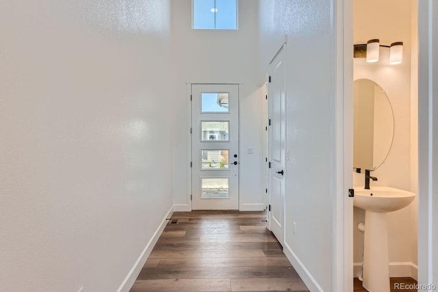 doorway with plenty of natural light, dark wood-type flooring, and sink